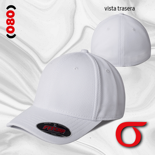 FITCAP  (080) SIGMA