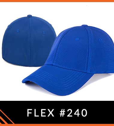 DKPS #240 GORRA FLEX