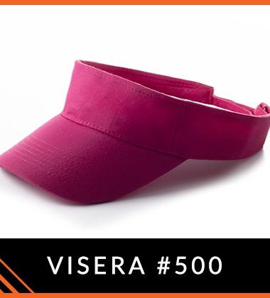 DKPS #500 VISERA